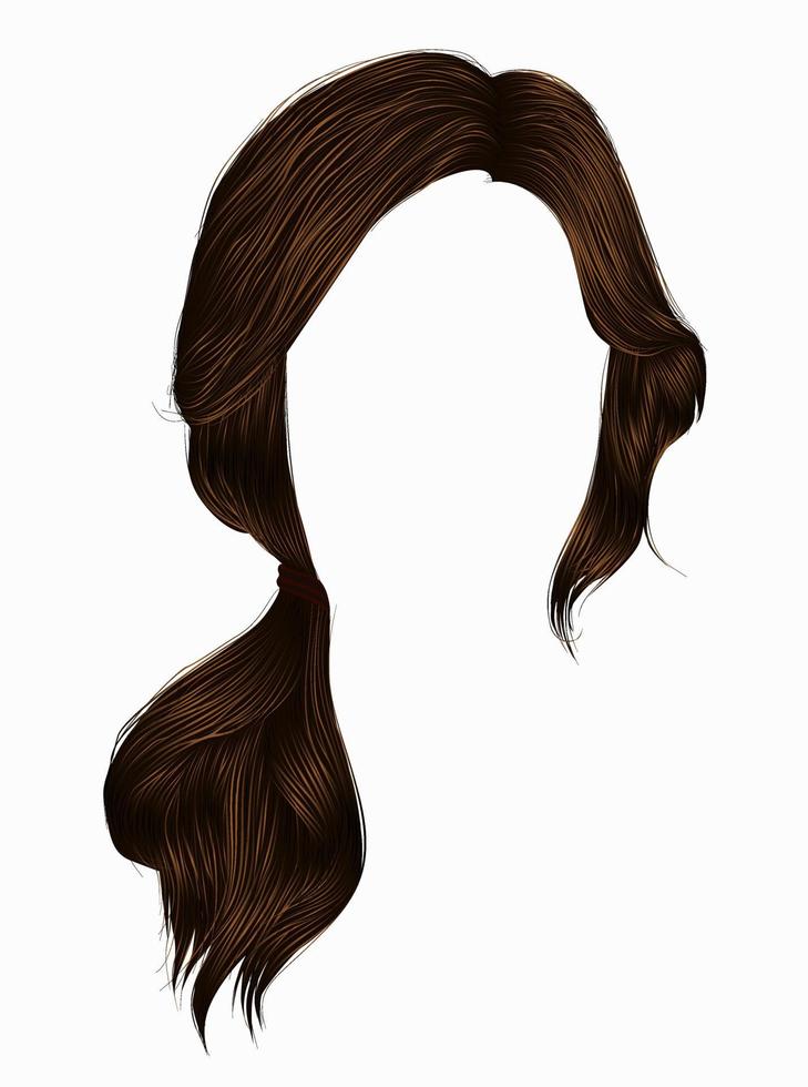 trendy women hairs brunette brown colour .tail .  fashion beauty style . vector
