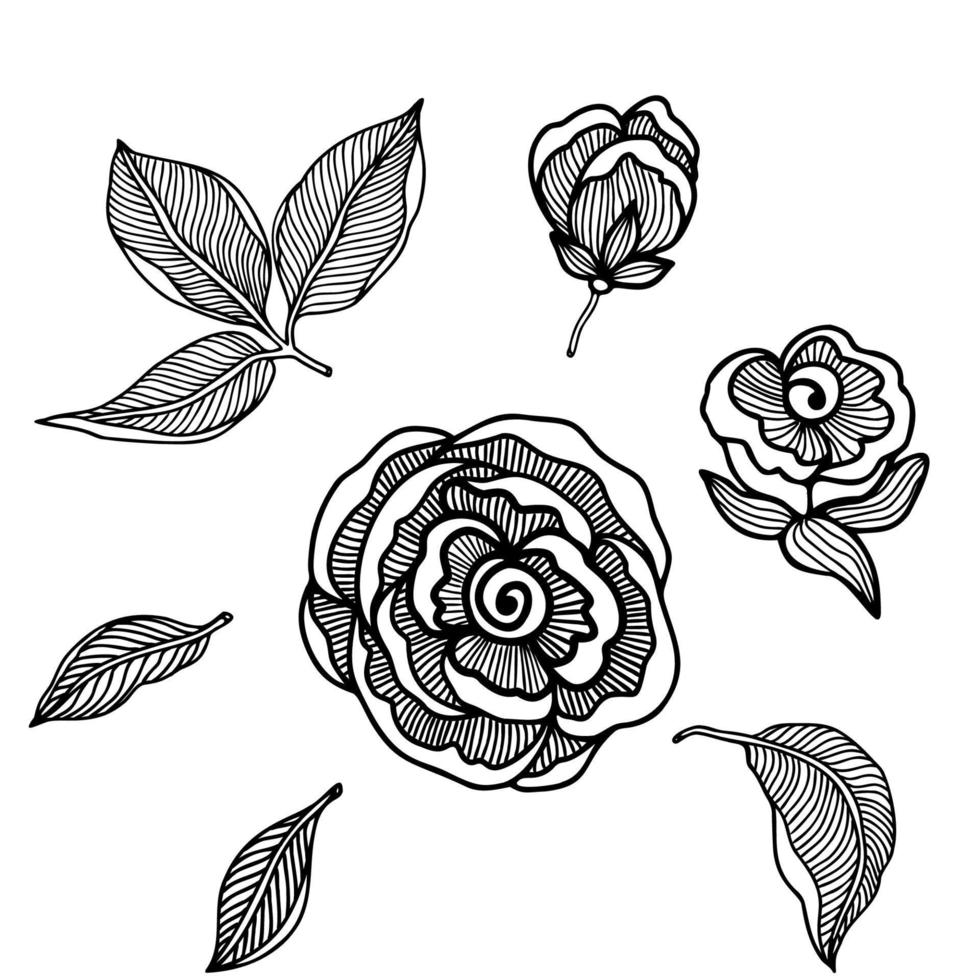 Cute rose flower vector