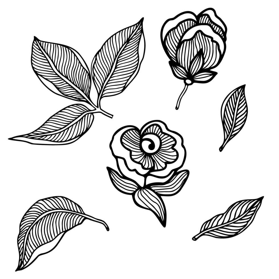 Cute rose flower vector