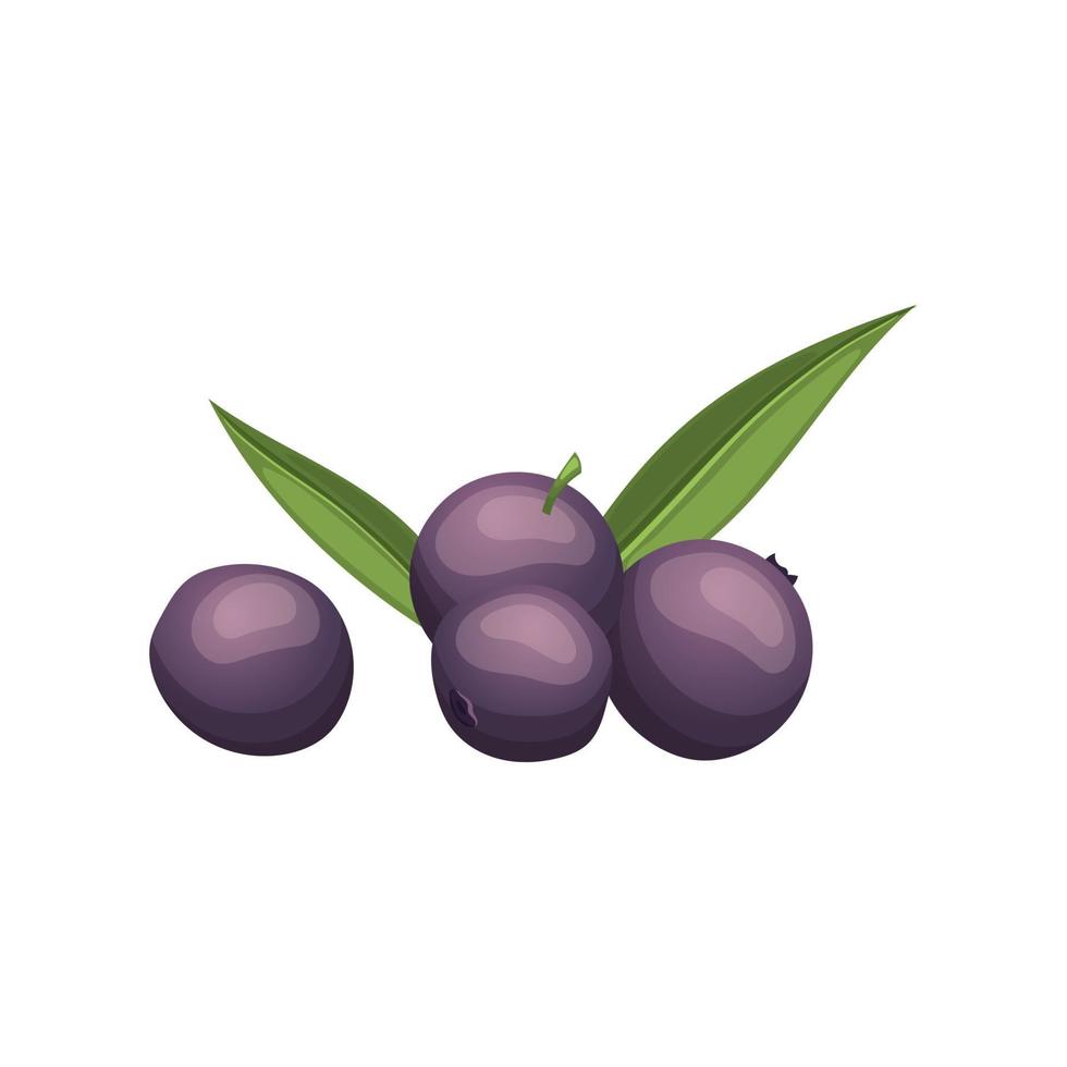 acai food fruit cartoon vector illustration