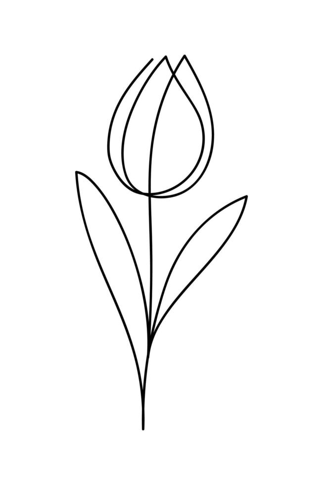 Tulip drawing in single continuous line art style. Hand drawn contour vector illustration of spring flower.