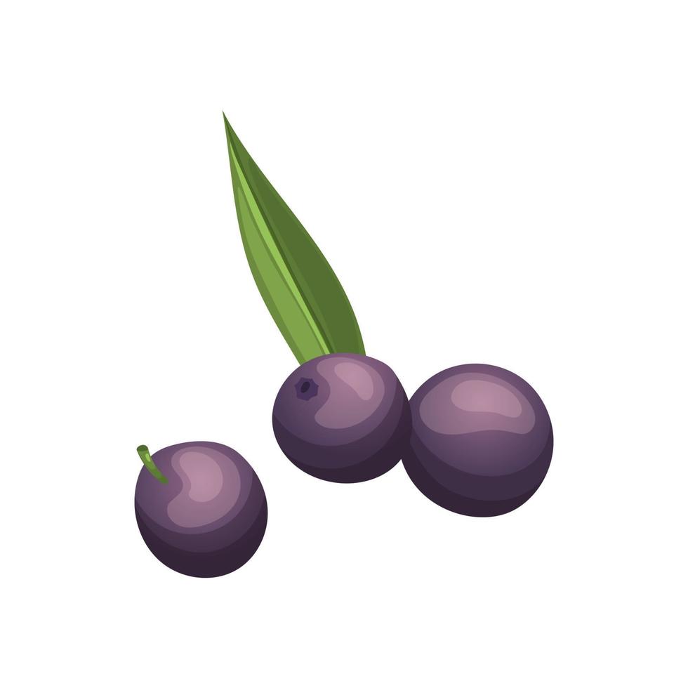 acai berry cartoon vector illustration