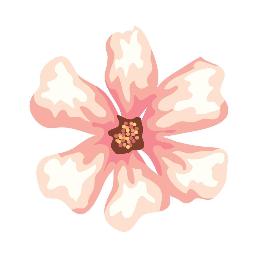 cute flower nature, on white background vector