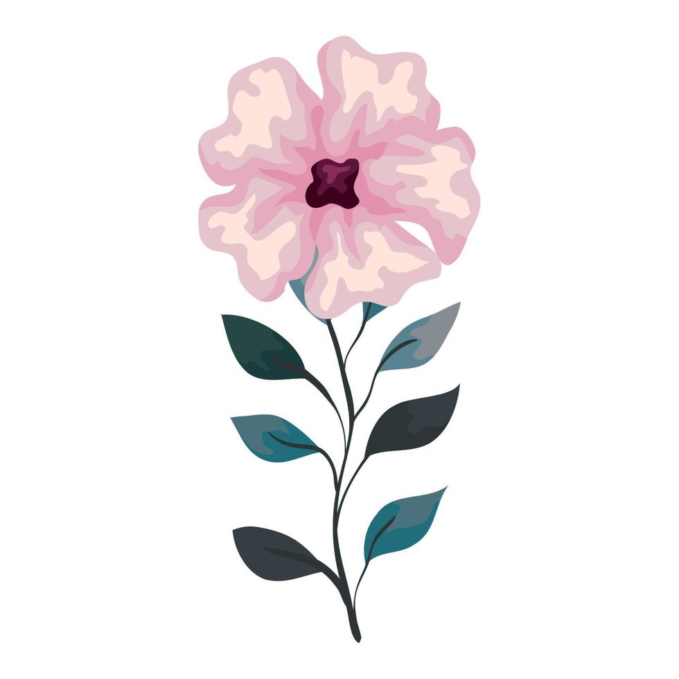 flower pink color with branch and leaves, on white background vector