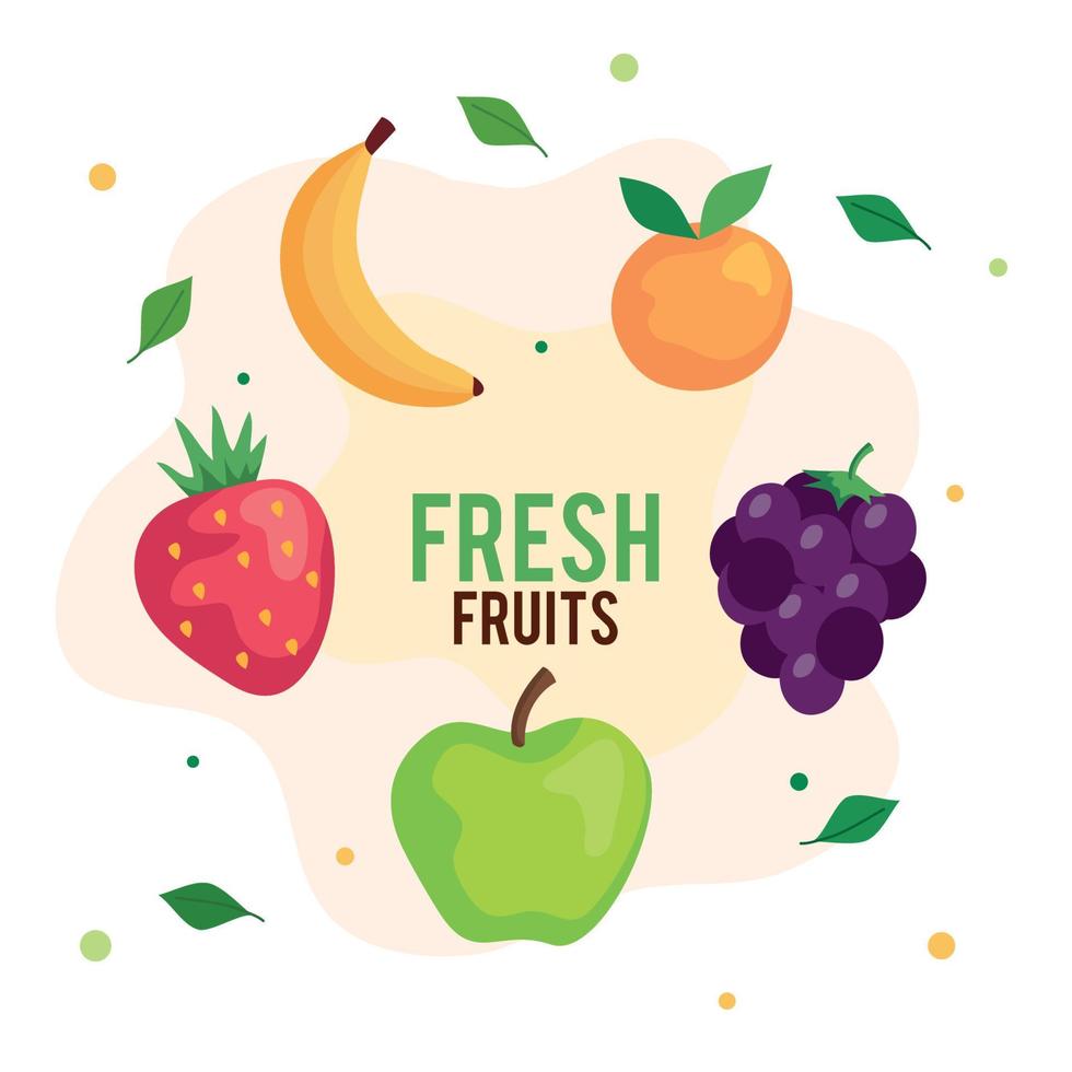 banner with banana and fresh fruits vector