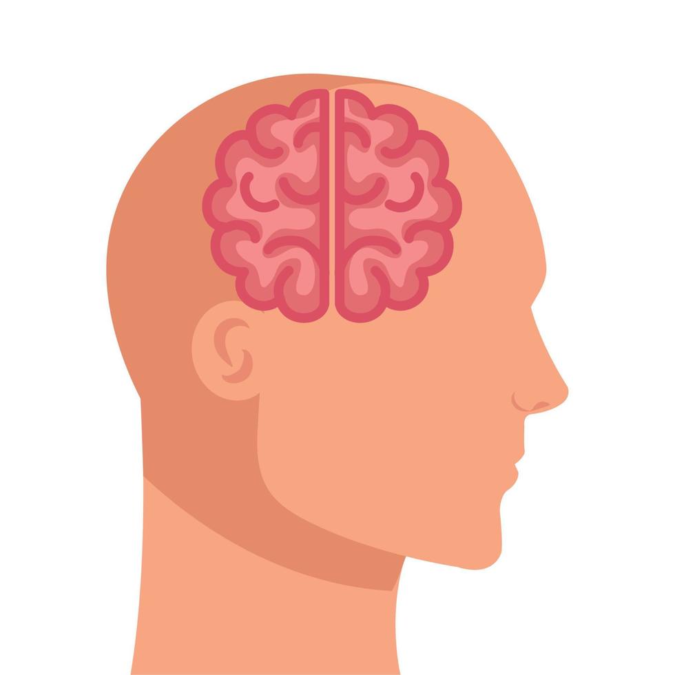 silhouette of human profile with brain, on white background vector