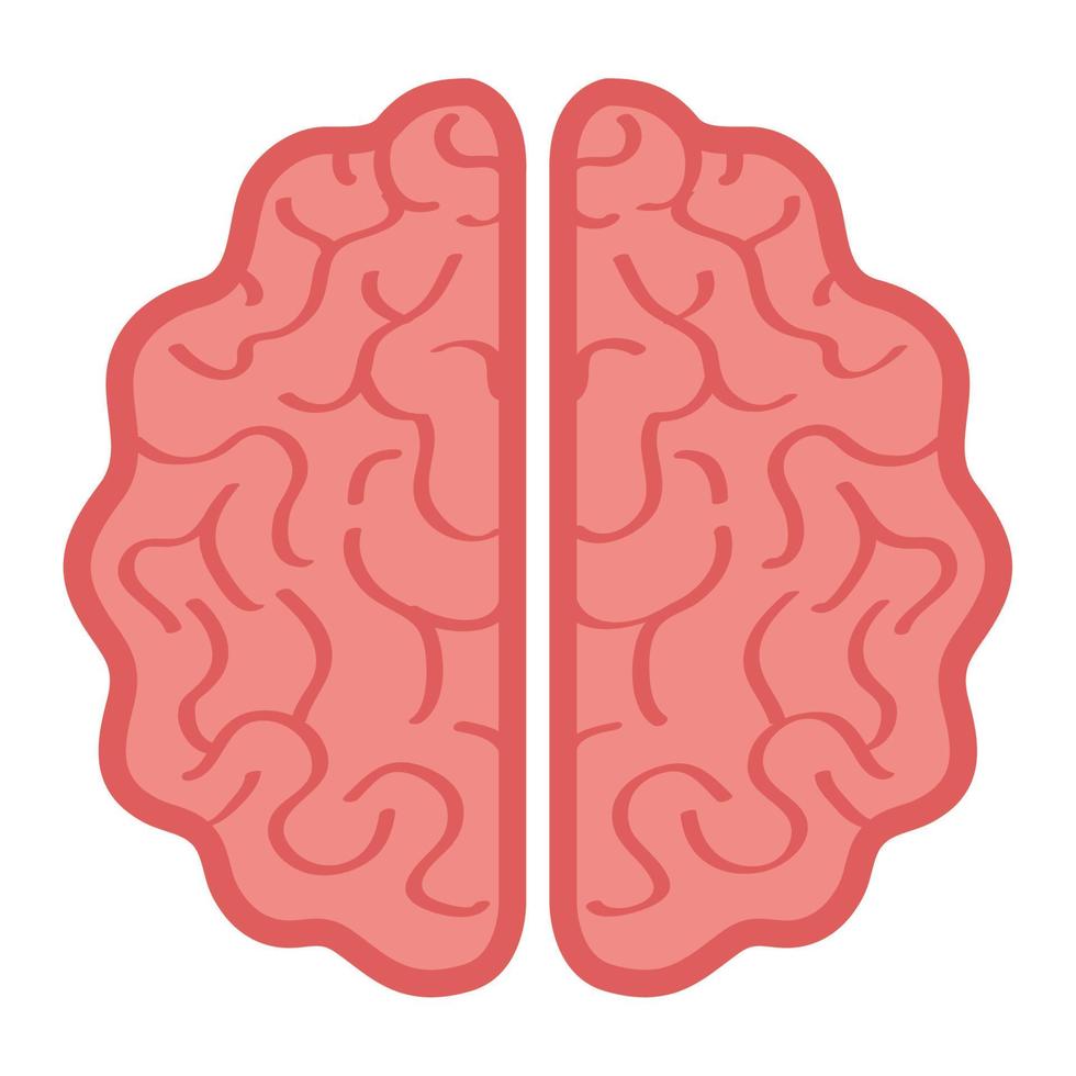 neurología, cerebro humano sobre fondo blanco vector