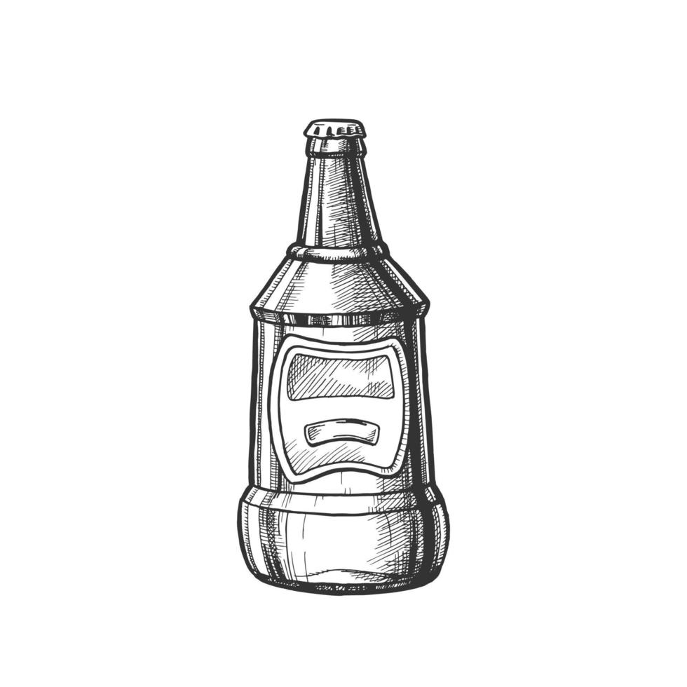 dibujado a mano en blanco botella cerrada de vector de cerveza