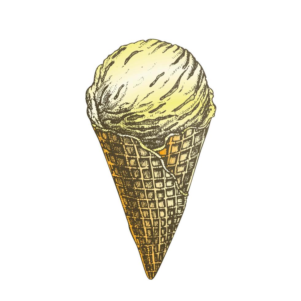 Color Ice Cream Scoop In Waffle Cone Hand Drawn vector
