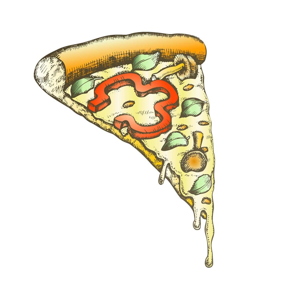 Color Vegetarian Italian Slice Pizza Hand Drawn Vector