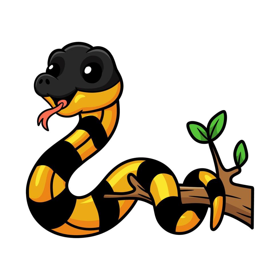 Cute banded krait bungarus candidus on tree branch vector