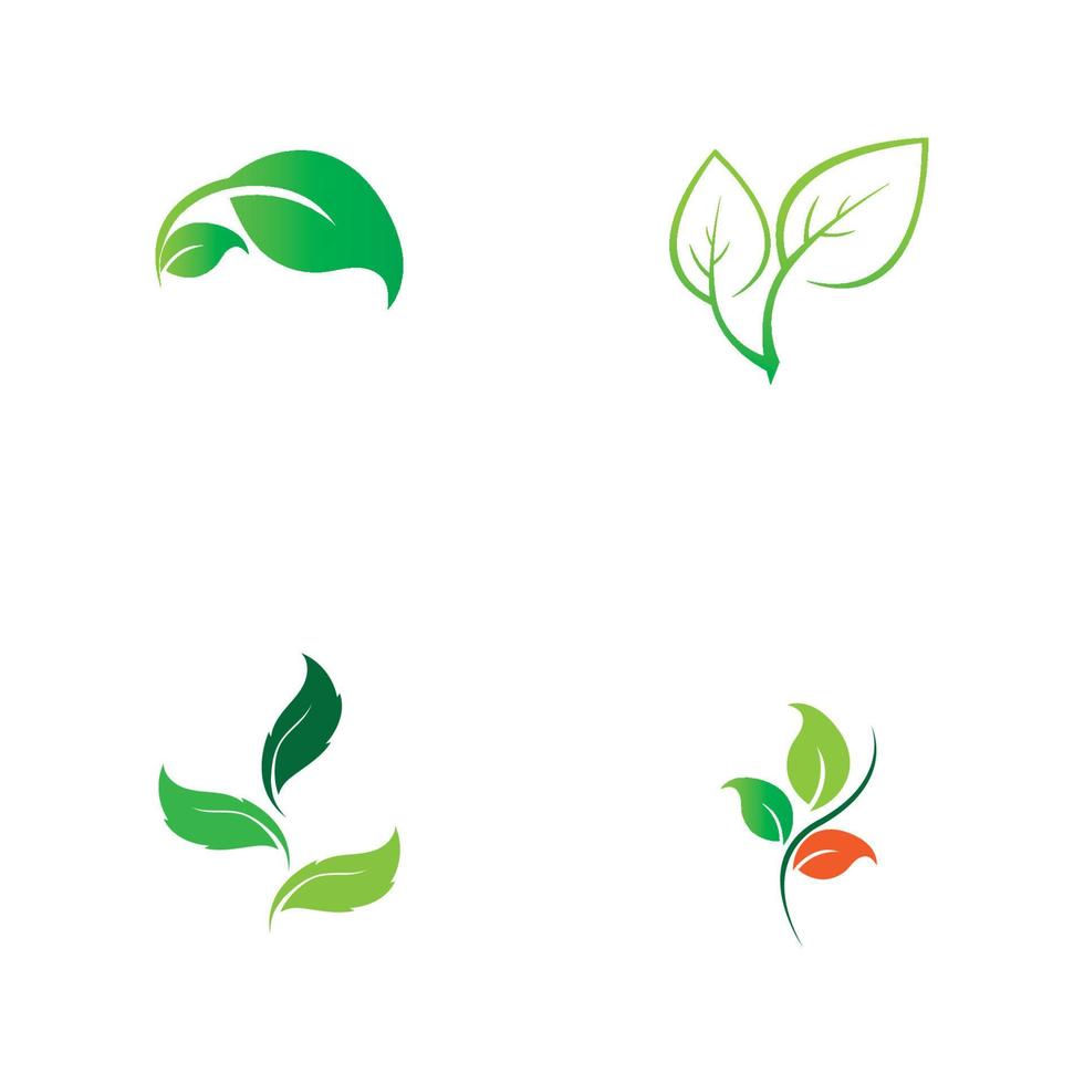 diseño de logotipo de vector de hoja de árbol, concepto ecológico