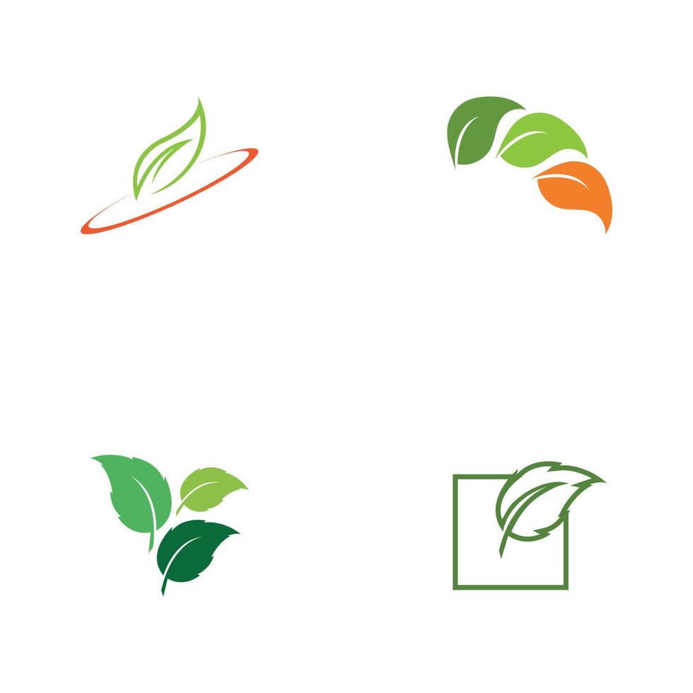 diseño de logotipo de vector de hoja de árbol, concepto ecológico