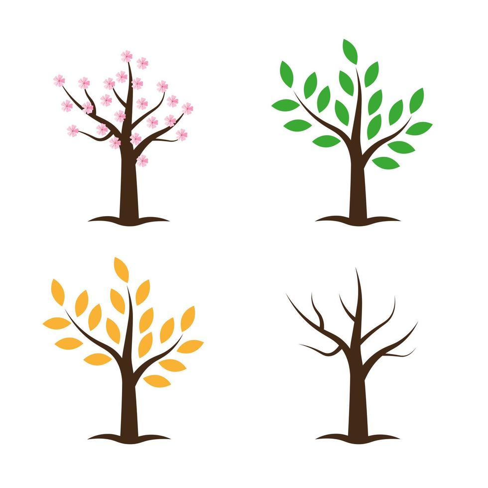 Tree collection in four seasons. Spring Summer Autumn Winter. Vector illustration isolated on white background