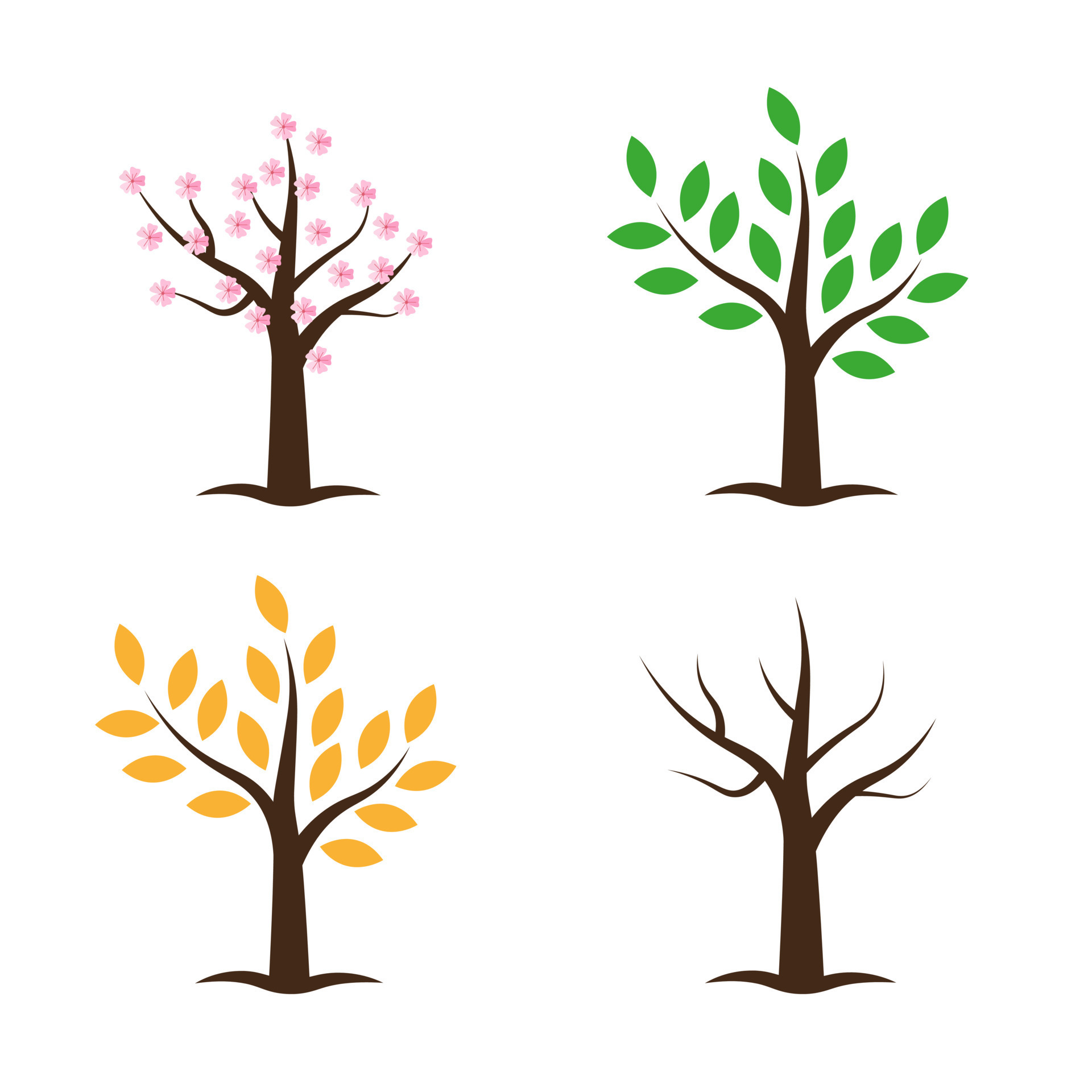 Tree collection in four seasons. Spring Summer Autumn Winter. Vector