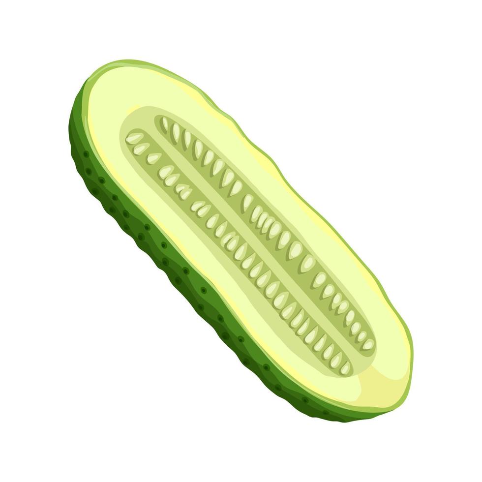 cucumber cut cartoon vector illustration