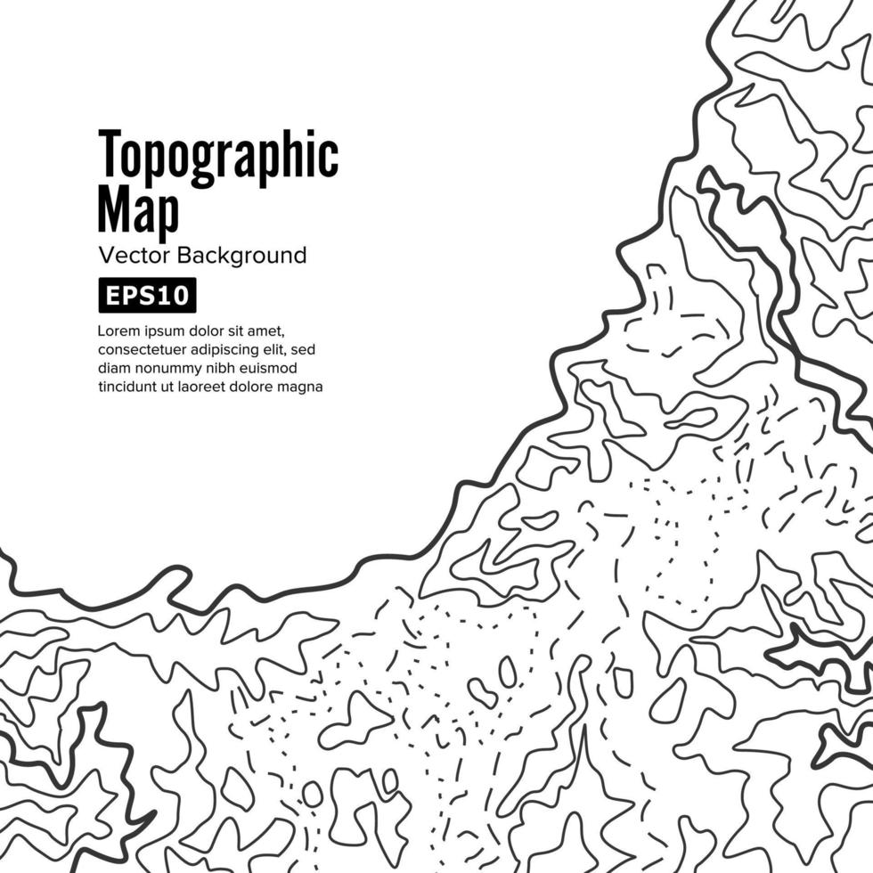 concepto de fondo del mapa topográfico. elevación contorno topo. aislado en blanco vector