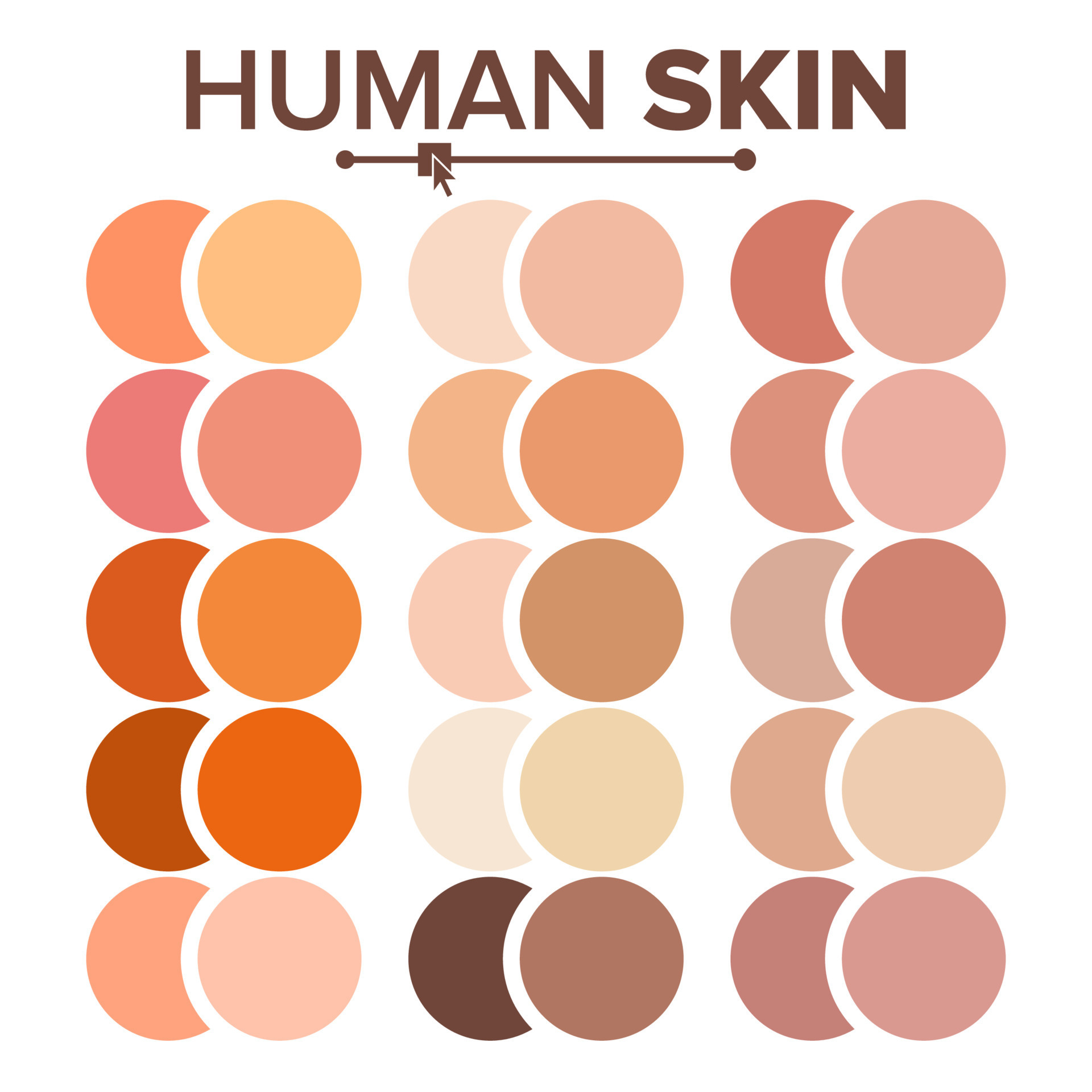 Skin Human Vector. Various Body Tones Chart. Realistic Texture Palette
