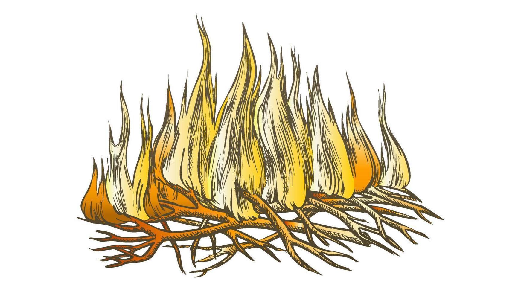 Traditional Burning Camping Fire Color Vector