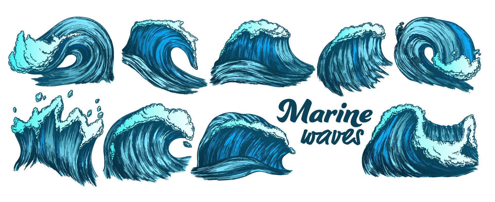 Color Sketch Splash Marine Wave Set Vector