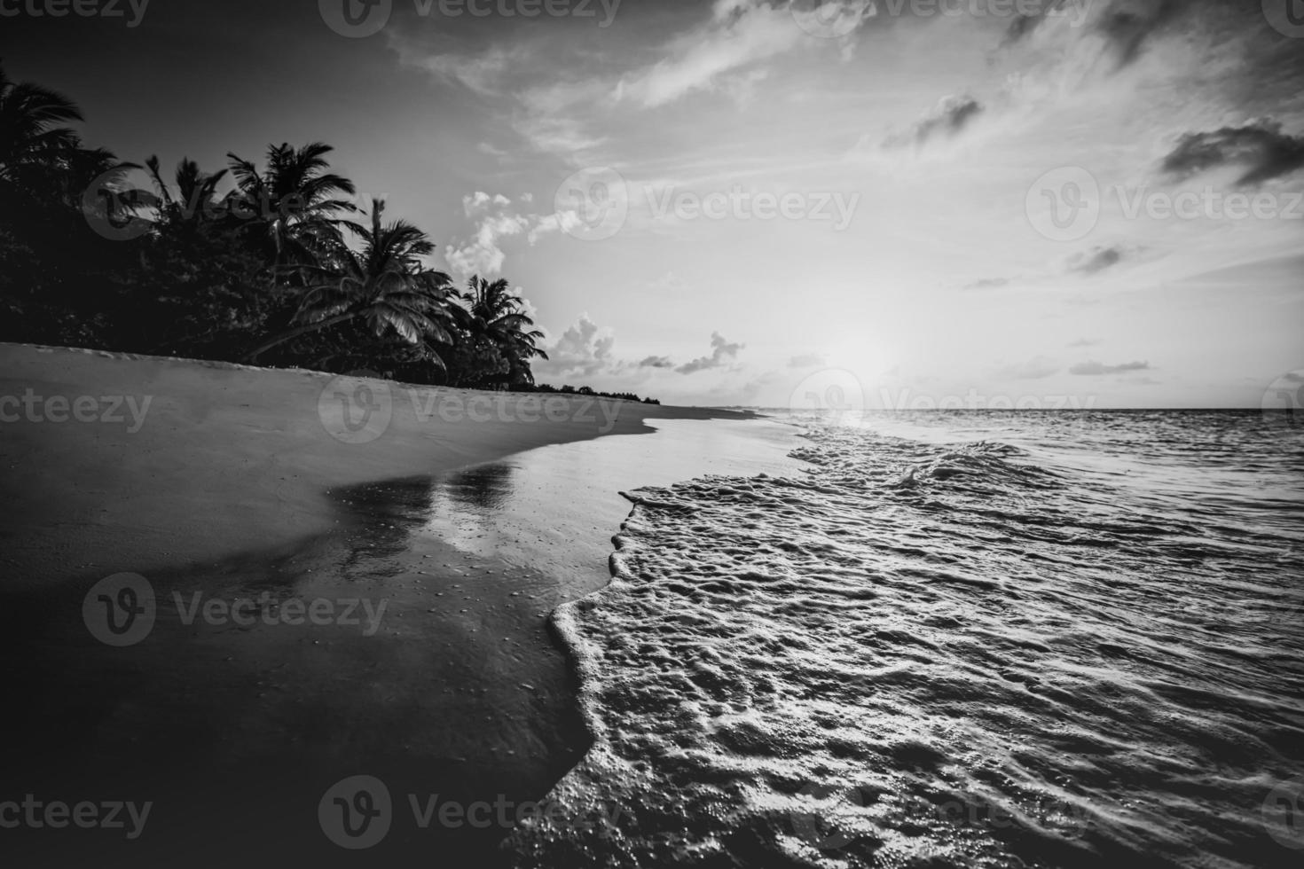 Tranquilo Paisaje De Playa En Blanco Y Negro La Espectacular Isla Tranquil Beach Landscape In Black And White Dramatic Monochrome Paradise Island Inspire Meditation Travel Background Palm Trees White Sand Dark Sky Artistic Waves Relax Coast Summer Minimal Travel Photo