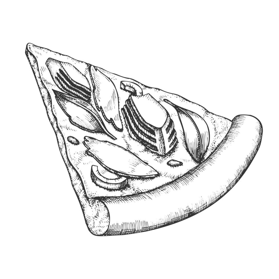 Delicious Freshness Slice Pizza Hand Drawn Vector