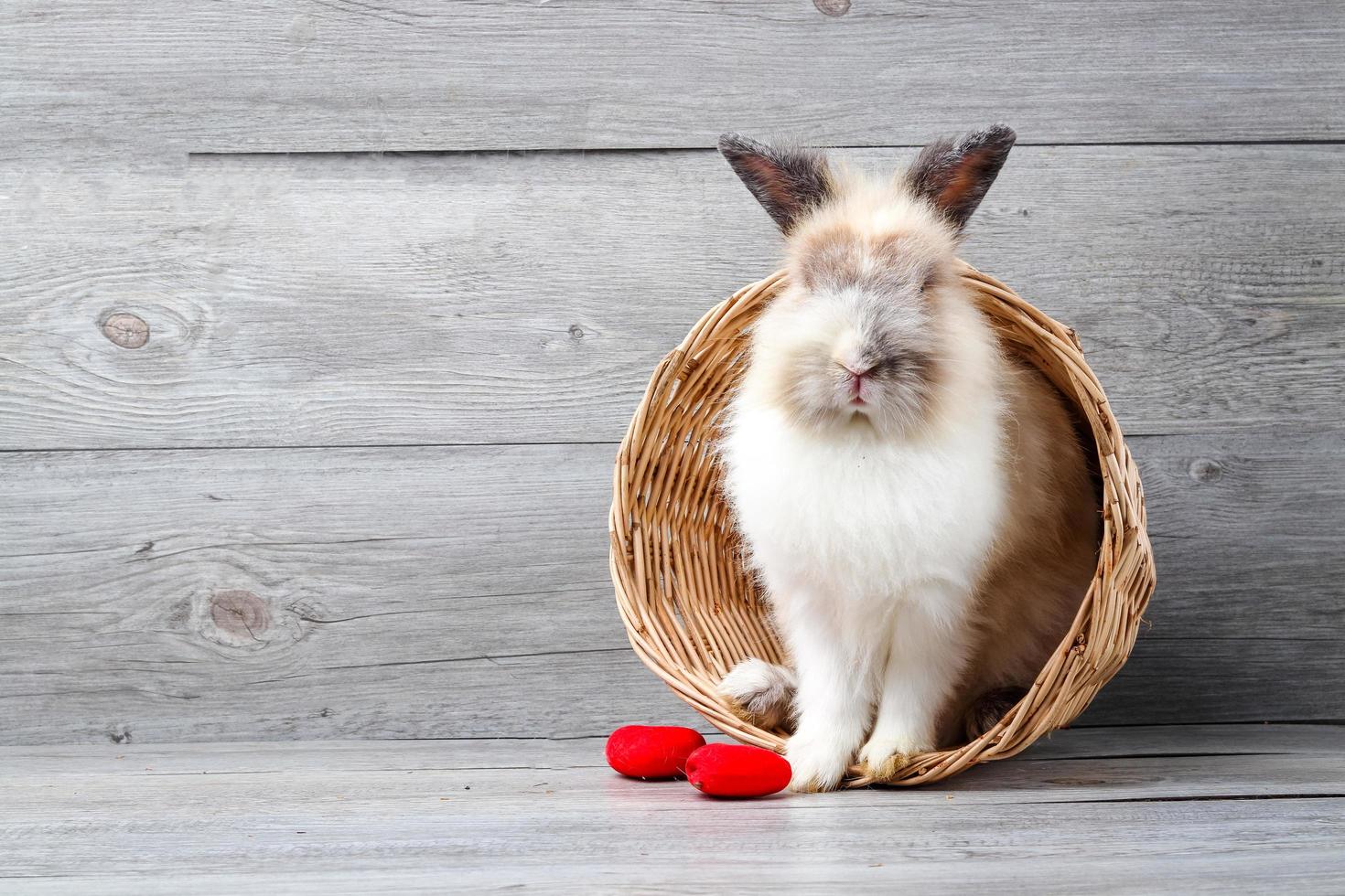 el conejo peludo marrón estaba en una canasta de madera con dos corazones rojos al lado. feliz día de san valentín concepto foto