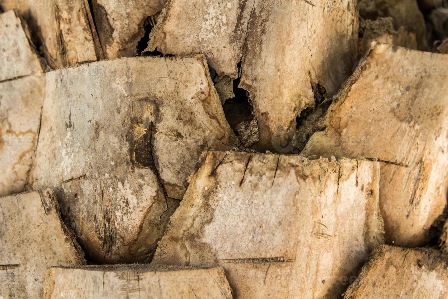 los tallos de las hojas de las palmeras que han sido cortados y colocados en capas, si no están muertos, están habitados por termitas e insectos, pero se ven hermosos, pero los niveles son filas. foto