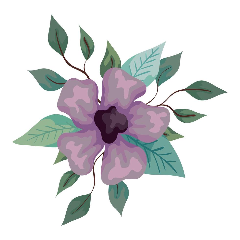 flower lilac color with branches and leaves, on white background vector