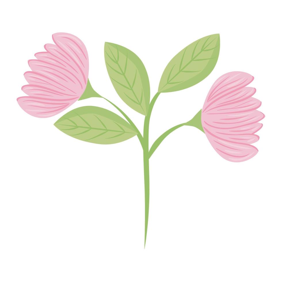 flores rosadas con hojas de diseño vectorial vector