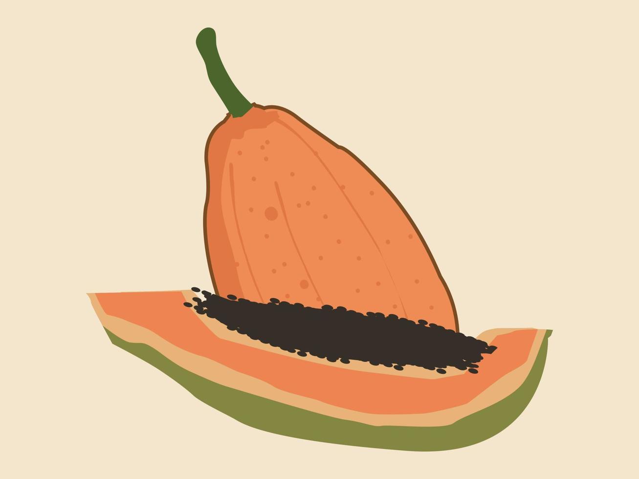frutas tropicales de verano papaya dulce vector