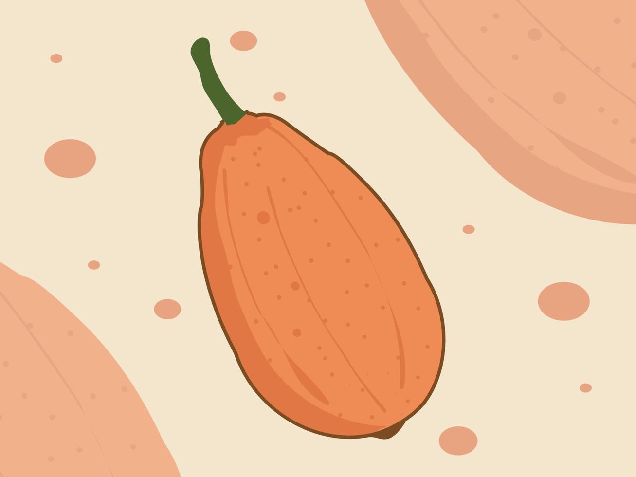 Summer Tropical Fruits Sweet Papaya vector