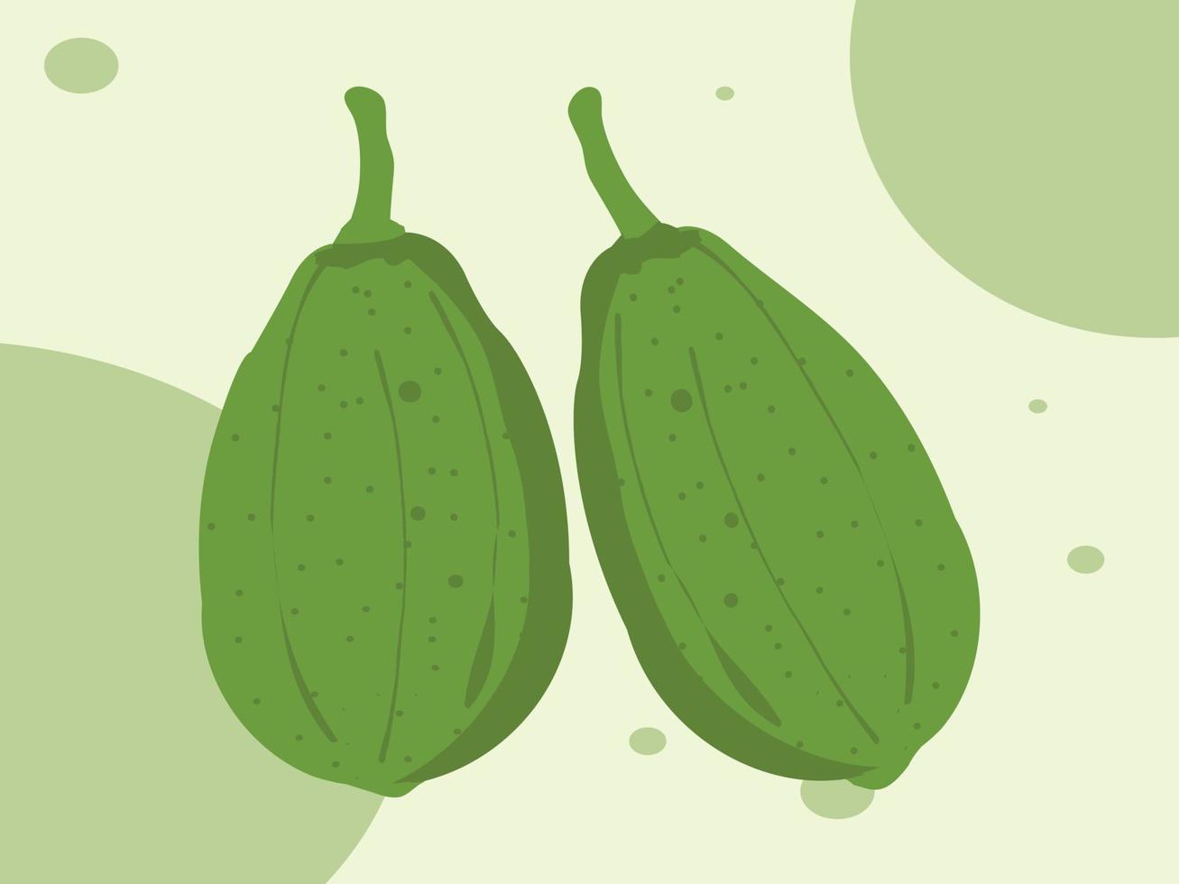 Summer Tropical Fruits Green Papaya vector