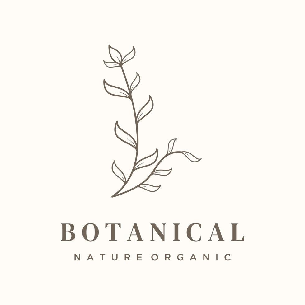 Hand drawn organic botanical organic feminine delicate Logo design for florist, wedding, badge, photographer and beauty. vector