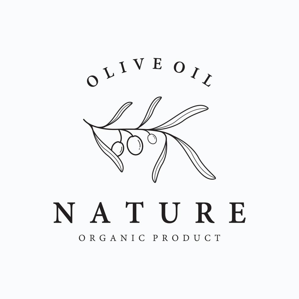 plantilla de logotipo botánico dibujada a mano hoja de olivo natural y fruta .herbal, aceite de oliva, cosmética o belleza. vector