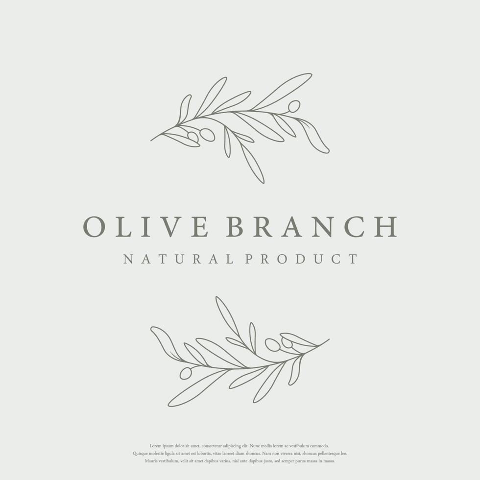 Botanical logo template Hand drawn natural olive leaf and fruit .Herbal, olive oil,cosmetic or beauty. vector