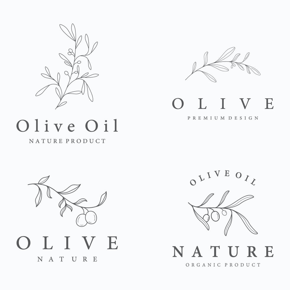 plantilla de logotipo botánico dibujada a mano hoja de olivo natural y fruta .herbal, aceite de oliva, cosmética o belleza. vector