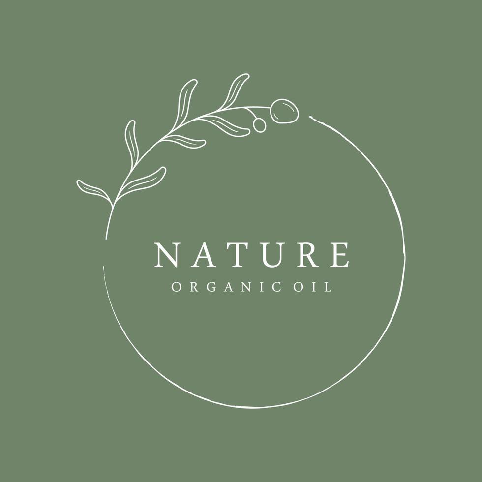 Botanical logo template Hand drawn natural olive leaf and fruit .Herbal, olive oil,cosmetic or beauty. vector