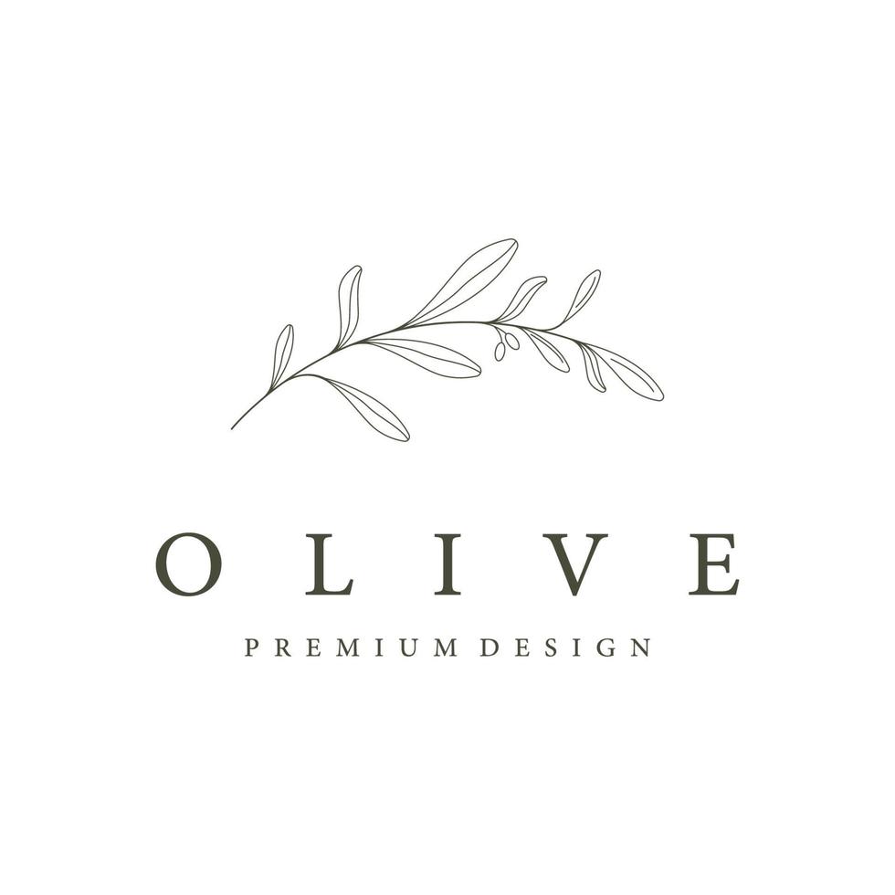 Botanical logo template Hand drawn natural olive leaf and fruit .Herbal, olive oil,cosmetic or beauty. vector