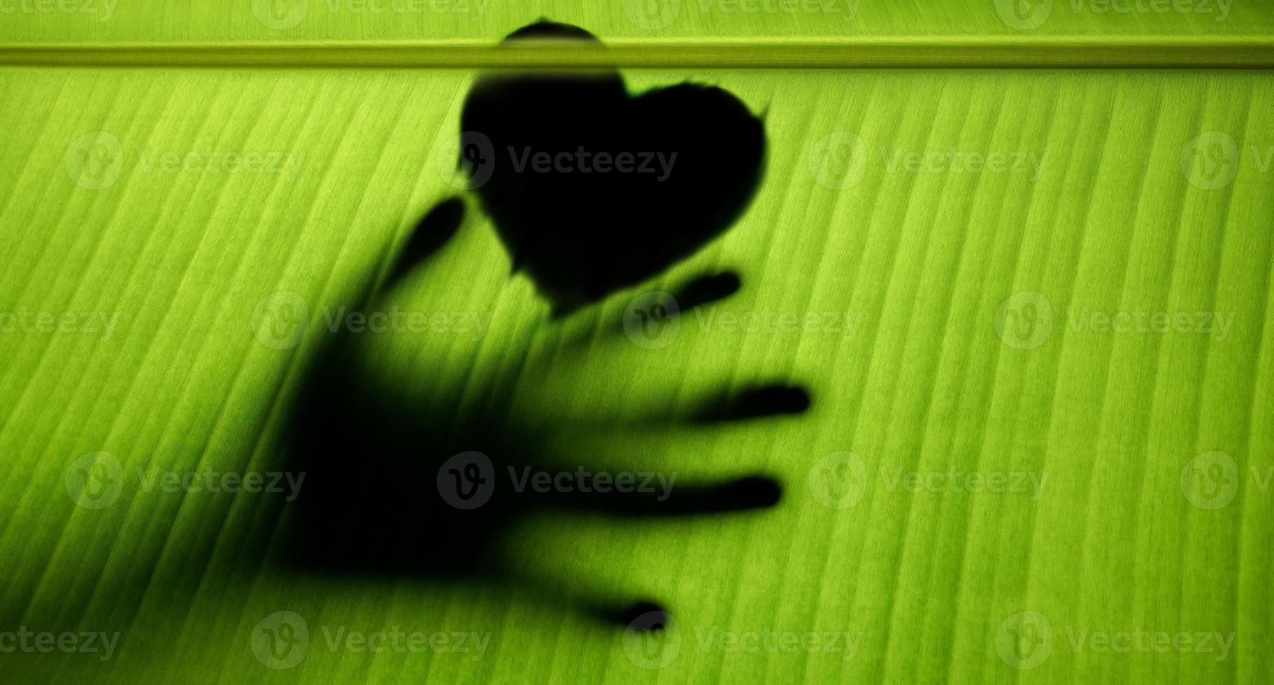 concepto de estilo de vida sostenible. día Mundial del Medio Ambiente. hoja verde con técnica retroiluminada como mano sujetando forma de corazón foto