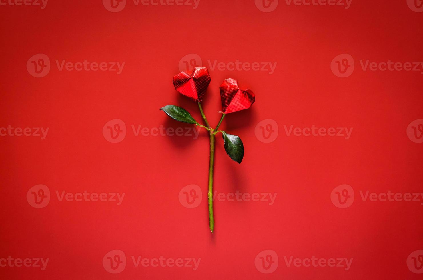 Two paper fold in love shape on rose stalk with leaves put on red background for Minimal Valentines concept. photo