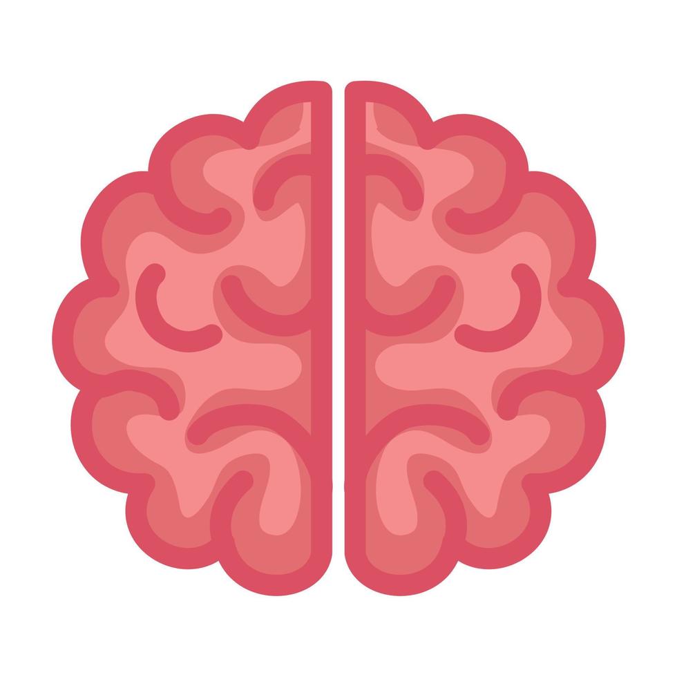 neurology, brain human on white background vector