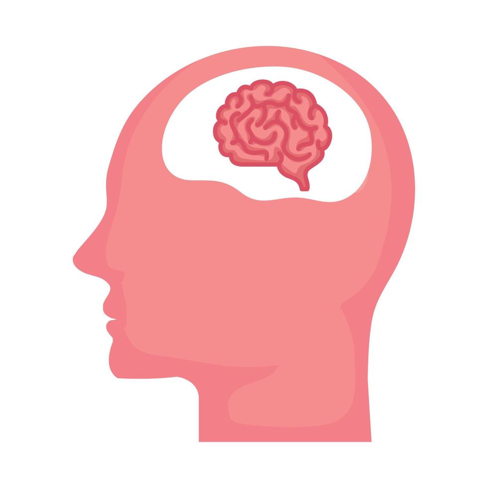 silhouette of human profile with brain, on white background vector