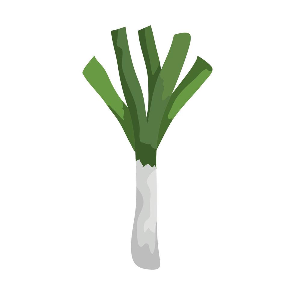 fresh leek vegetable isolated icon vector