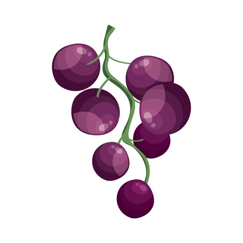 Uvas frescas frutas icono aislado vector