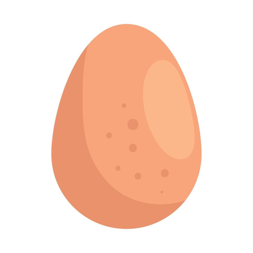 whole egg, in white background vector