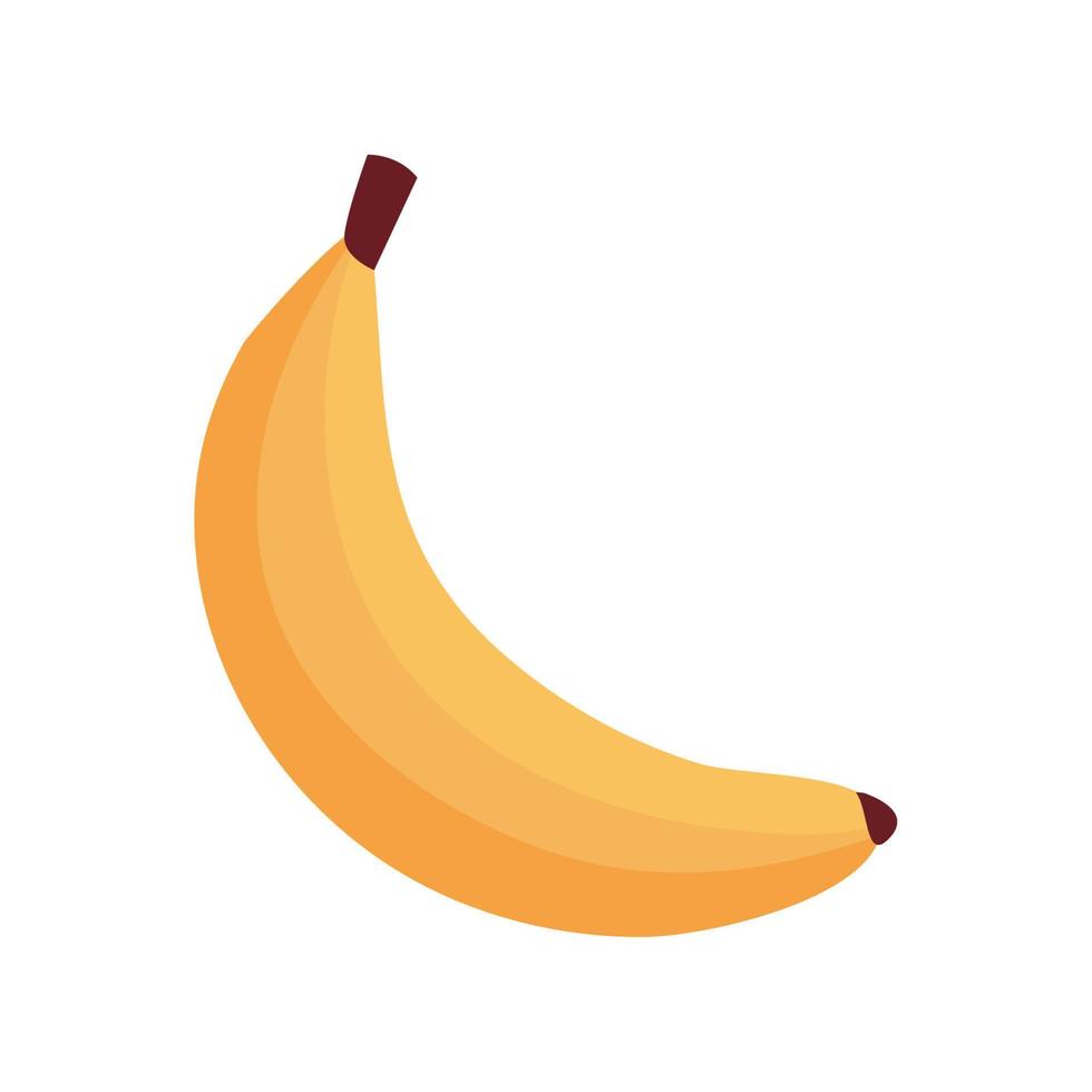 fresh banana fruit, in white background vector