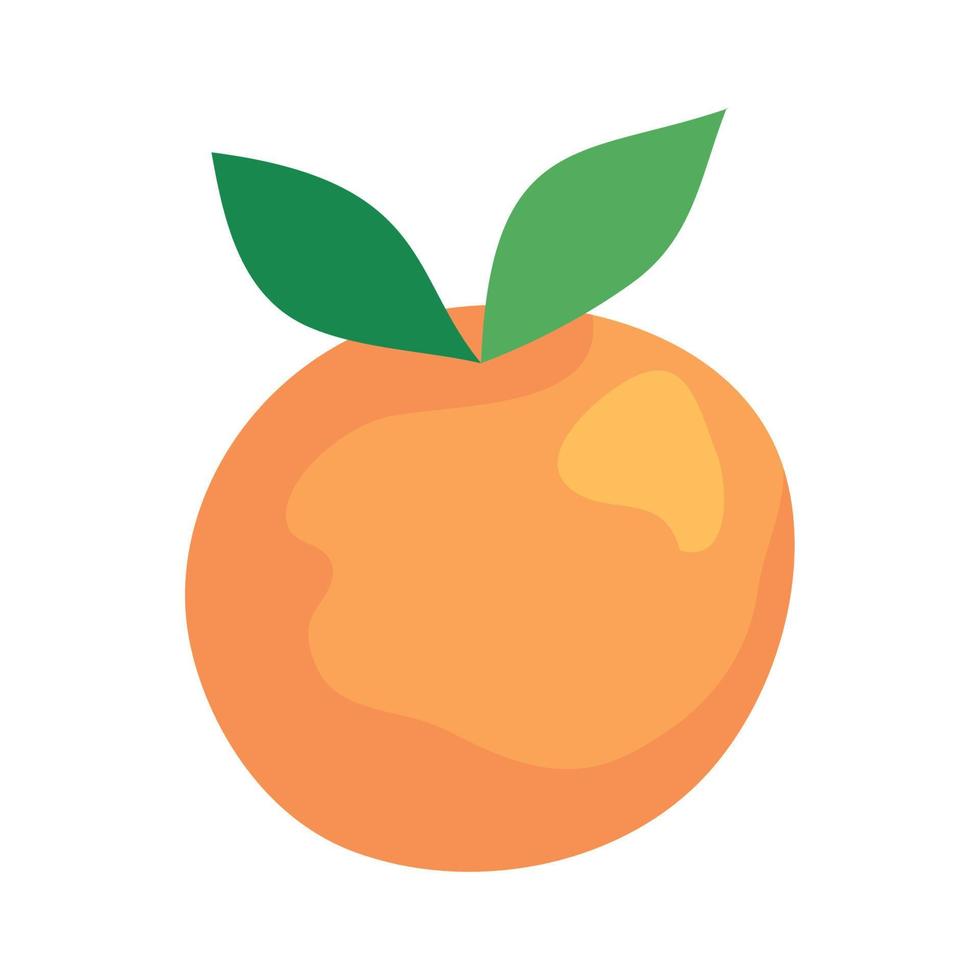fruta naranja fresca y saludable, de fondo blanco vector
