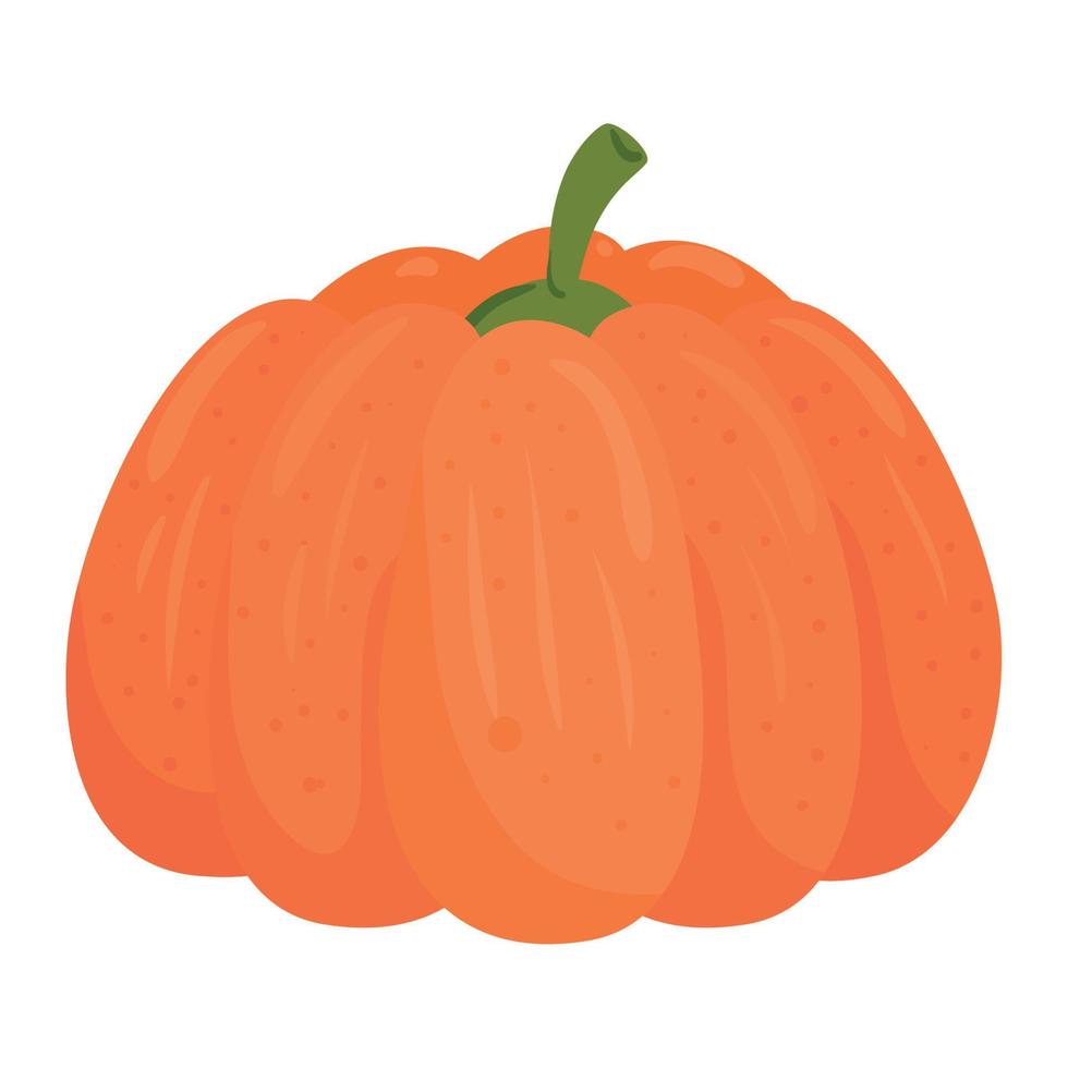 calabaza fresca, de fondo blanco vector