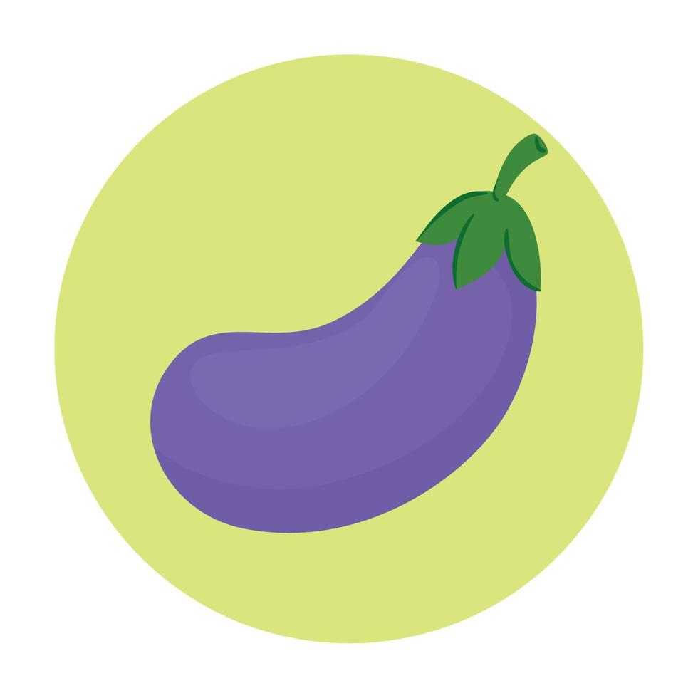 fresh eggplant in round frame, on white background vector